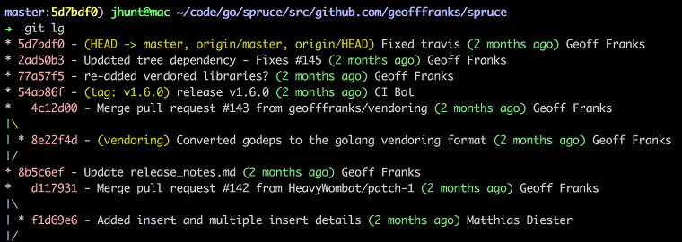 Screenshot of the `git lg` alias command, showing multiple tags and branches, with some intertwining of merge paths and history.