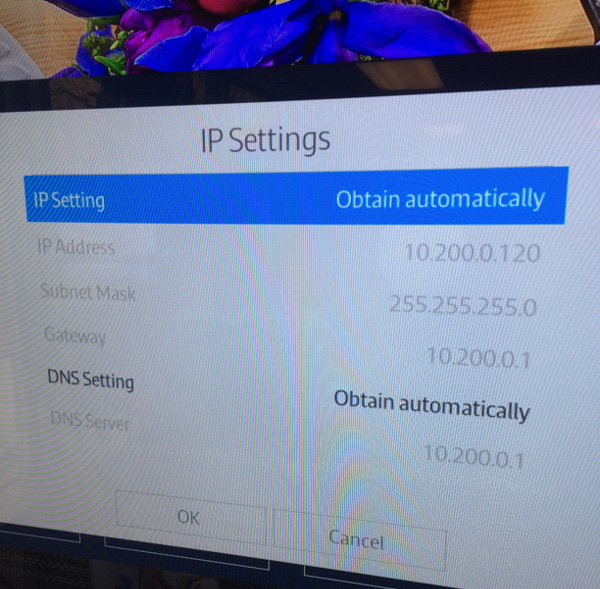 Picture of a Samsung TV screen, on the Settings page, showing that the TV is set to obtain IP addresses automatically (via DHCP) and that it has been given the address 10.200.0.120